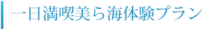 一日満喫美ら海体験プラン