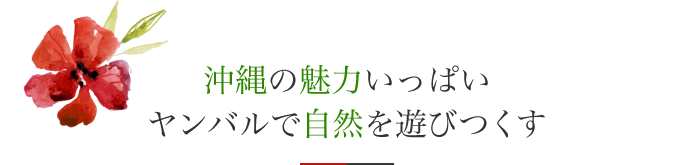 沖縄の魅力いっぱい　ヤンバルで自然を遊びつくす