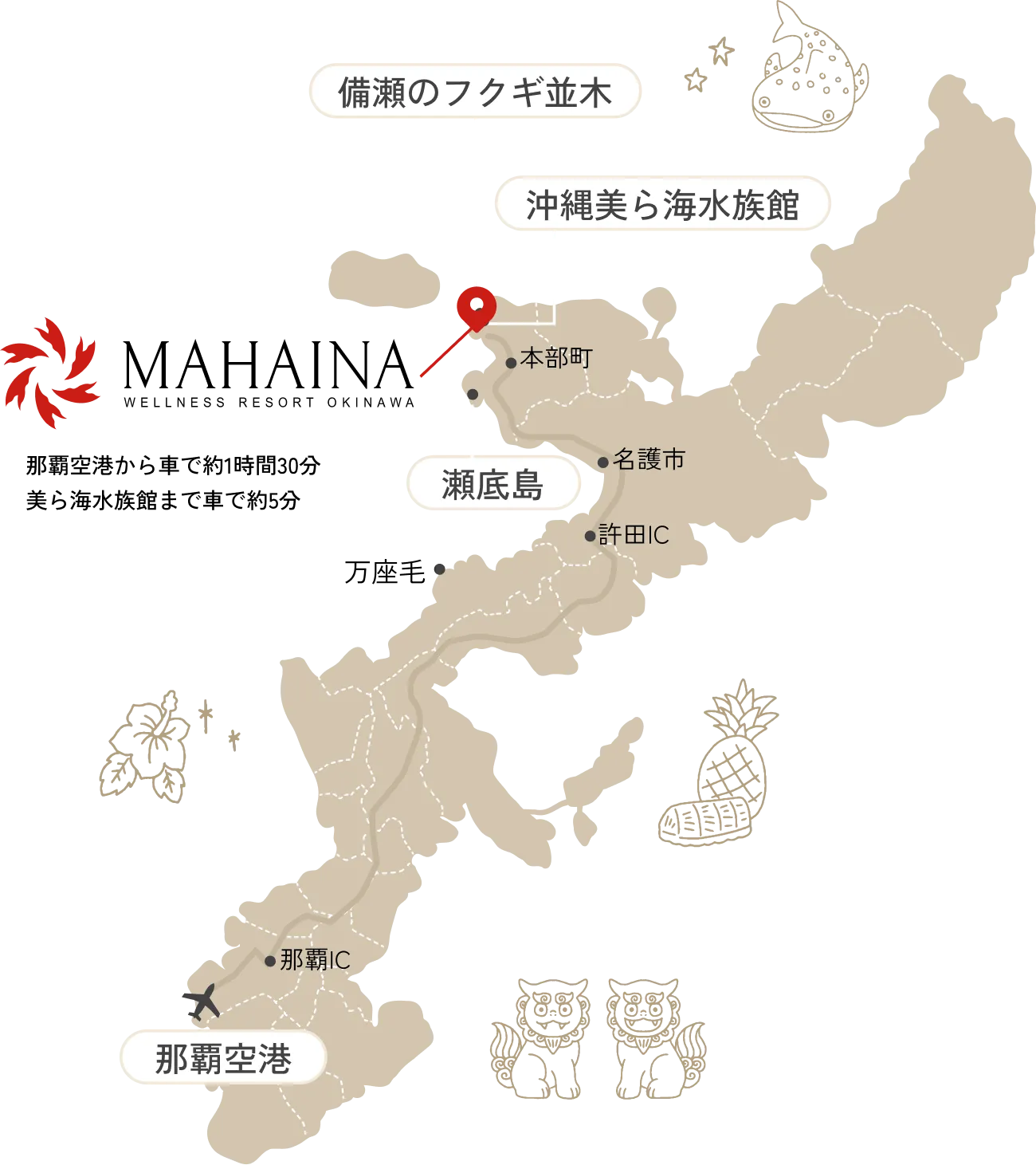 ベージュ色の沖縄本島地図上に、美ら海水族館や備瀬のフクギ並木といった観光拠点へのアクセスが赤いピンで示されています。