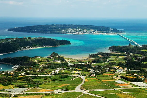 幾何学的な農地が広がる本部半島の先で、橋で結ばれた瀬底島がコバルトブルーの海に浮かんでいます。