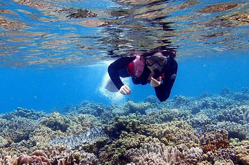 【夏季】みんな島海水浴ボートシュノーケル（本部港発）