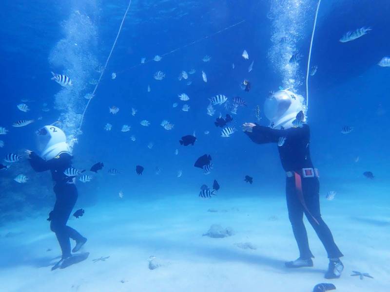 通年 シーウォーカー アクティビティ ホテルマハイナ