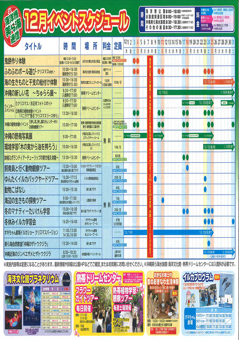 Decemberの海洋博美ら海通信