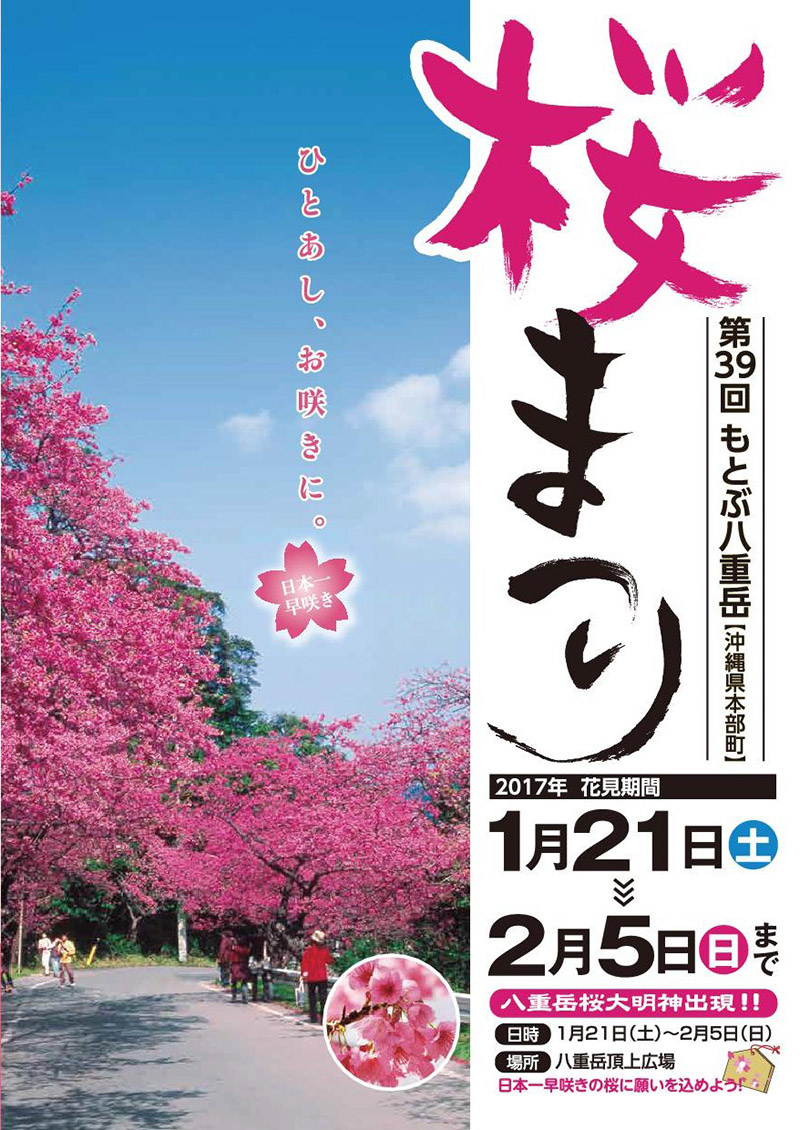 第39回もとぶ八重岳桜まつり