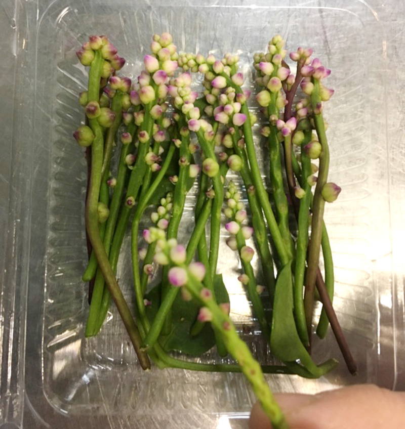 泉河の沖縄食材たち！