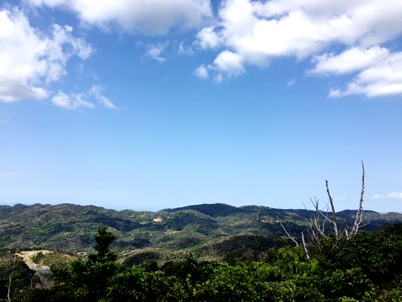 本部町八重岳