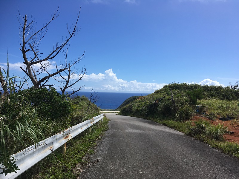 ステーキもあります、泉河