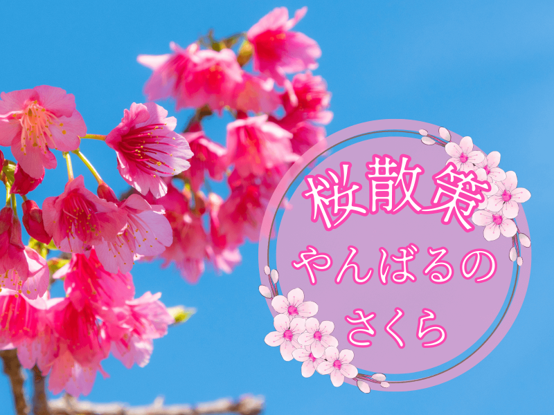 【1月＆ 2月限定！】「日本一早い桜散策」ツアー
