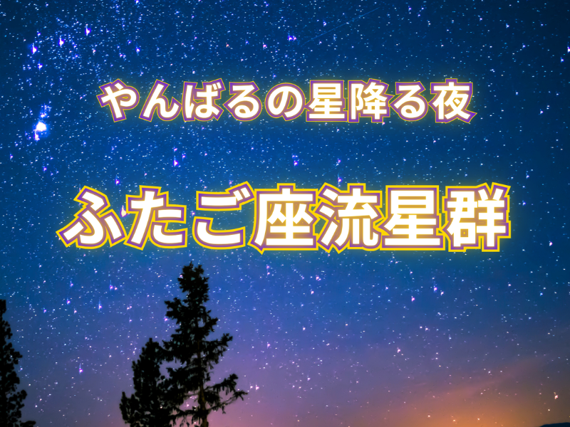 【12/13～15 限定】ふたご座流星群観察イベントのお知らせ