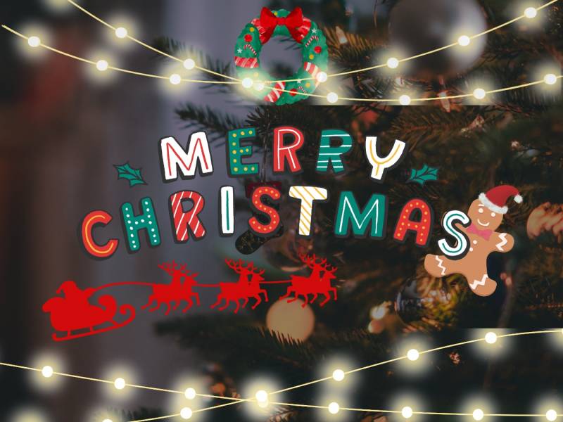 【12/24・25クリスマス】　やんばるリースづくりと星空観察ツアーのお知らせ