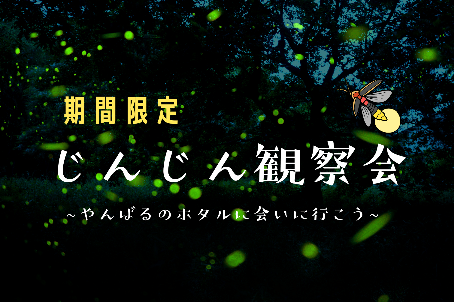 【期間限定】「じんじん（ホタル）観察会」開催のお知らせ