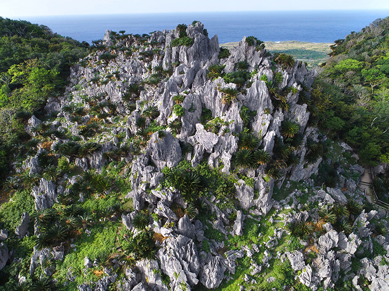 大石林山