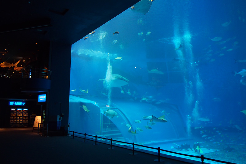 沖縄美ら海水族館