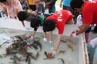 もずく＆活魚つかみ取り大会