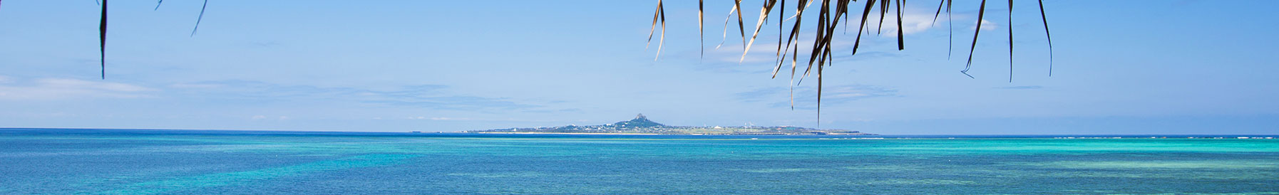 フォトギャラリー