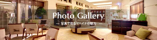 Photo Gallery
