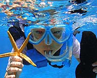 アクティビティ