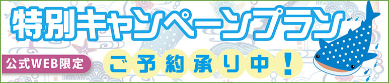 特別キャンペーンプラン