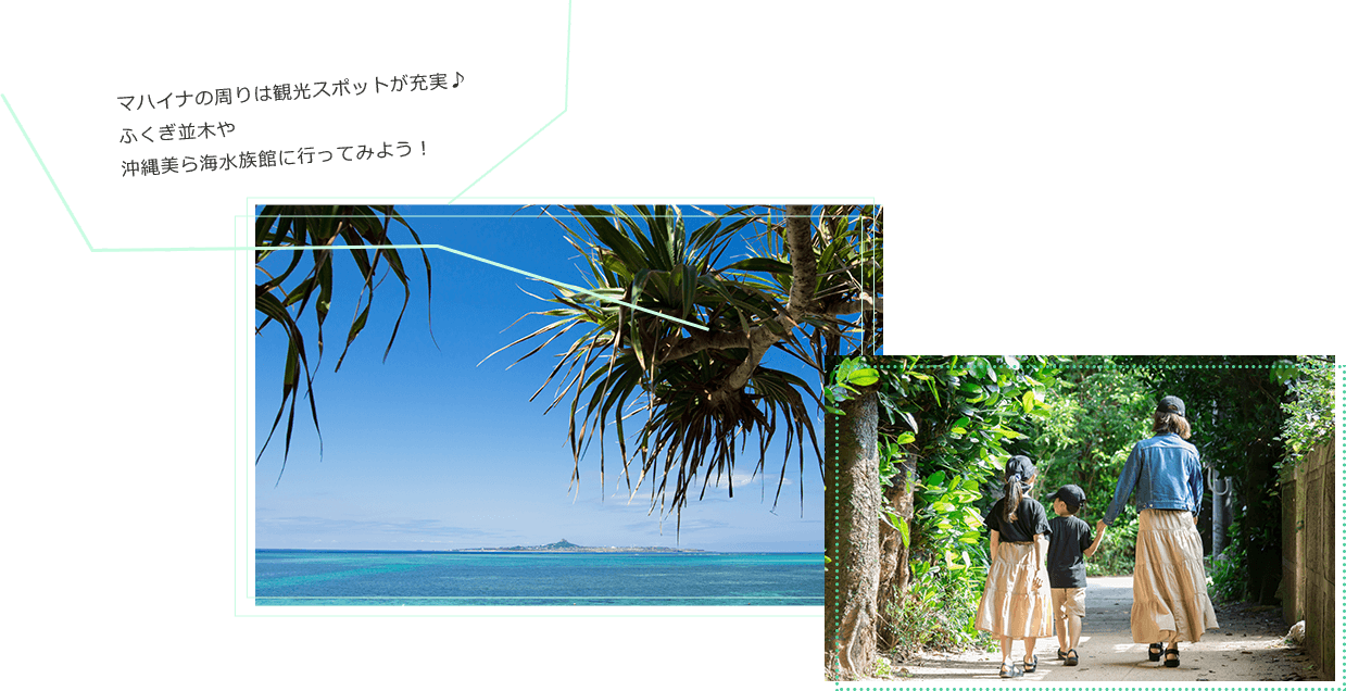 マハイナの周りは観光スポットが充実♪ふくぎ並木や沖縄美ら海水族館に行ってみよう！