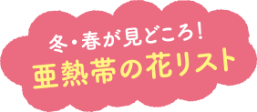 冬・春が見どころ！ 亜熱帯の花リスト