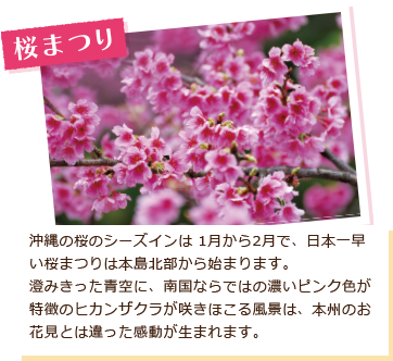 桜まつり