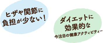 ノルディックウォーキングについて