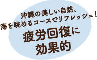 ノルディックウォーキングについて