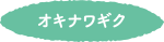 オキナワギク